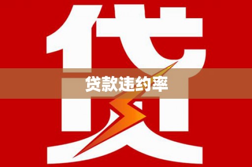 瑞金贷款违约率