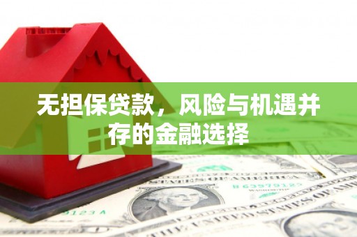 武鸣无担保贷款，风险与机遇并存的金融选择