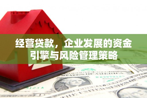 洛扎经营贷款，企业发展的资金引擎与风险管理策略