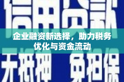 泰来企业融资新选择，助力税务优化与资金流动