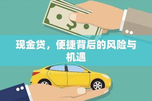 镇康现金贷，便捷背后的风险与机遇