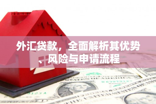 葵青外汇贷款，全面解析其优势、风险与申请流程