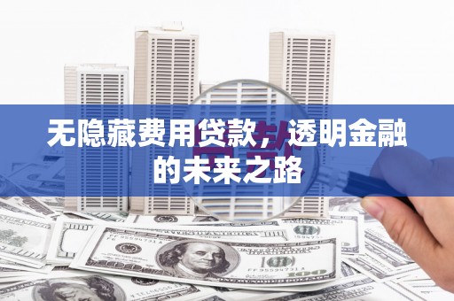 澧县无隐藏费用贷款，透明金融的未来之路