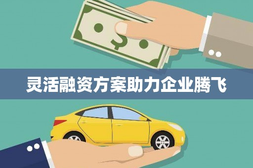郸城灵活融资方案助力企业腾飞