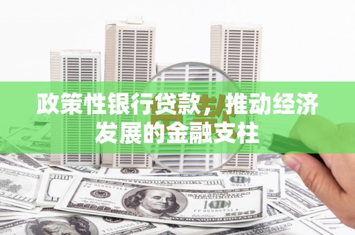 合阳政策性银行贷款，推动经济发展的金融支柱