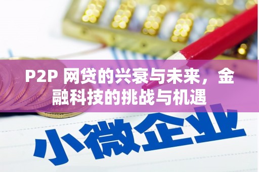宁夏P2P 网贷的兴衰与未来，金融科技的挑战与机遇