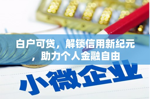 巴青白户可贷，解锁信用新纪元，助力个人金融自由