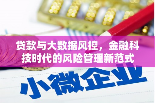 板桥贷款与大数据风控，金融科技时代的风险管理新范式