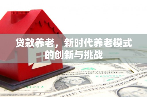 柳营贷款养老，新时代养老模式的创新与挑战