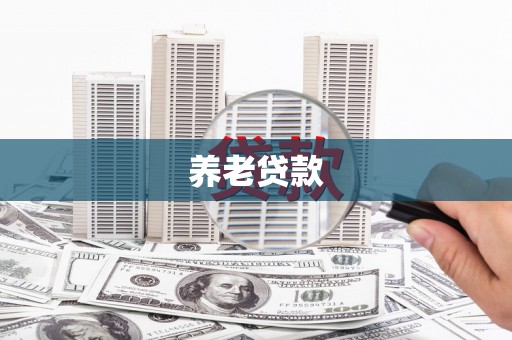 阳春养老贷款