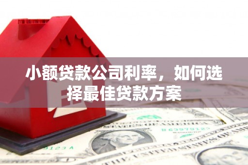 温州小额贷款公司利率，如何选择最佳贷款方案