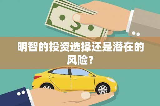 盐水明智的投资选择还是潜在的风险？
