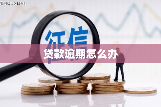 呼和浩特贷款逾期怎么办
