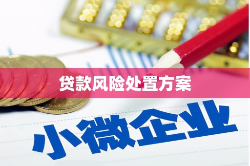 松溪贷款风险处置方案