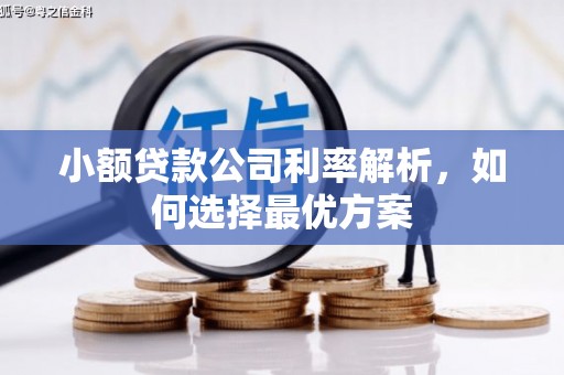 全州小额贷款公司利率解析，如何选择最优方案