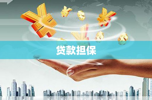 士林贷款担保