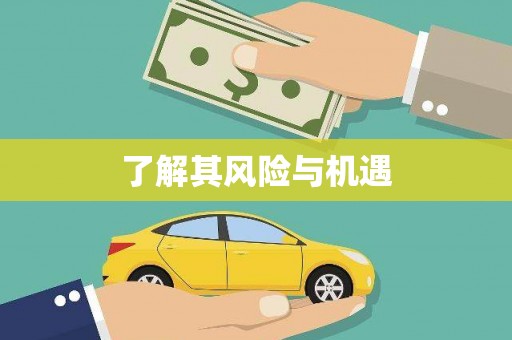 岳塘了解其风险与机遇