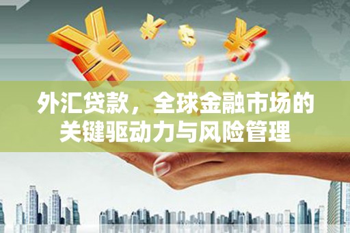 宜兰外汇贷款，全球金融市场的关键驱动力与风险管理
