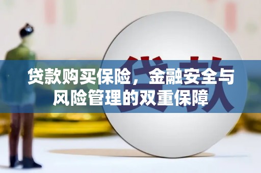 阿合奇贷款购买保险，金融安全与风险管理的双重保障