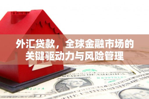 四子王旗外汇贷款，全球金融市场的关键驱动力与风险管理