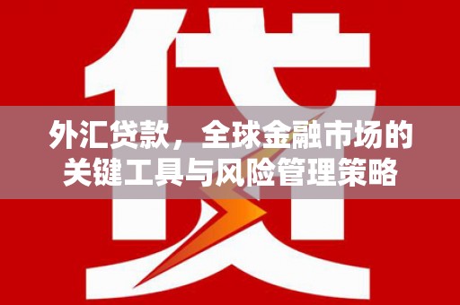 甘洛外汇贷款，全球金融市场的关键工具与风险管理策略