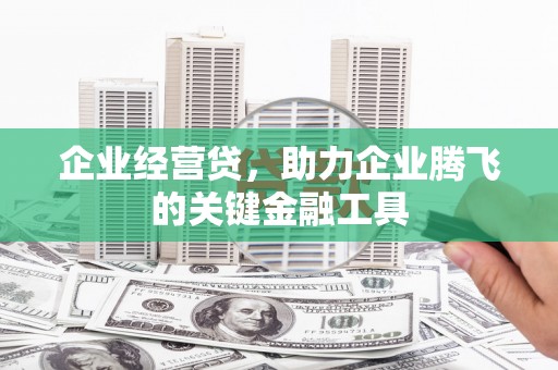 甘洛企业经营贷，助力企业腾飞的关键金融工具