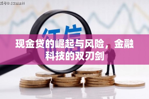 工布江达现金贷的崛起与风险，金融科技的双刃剑