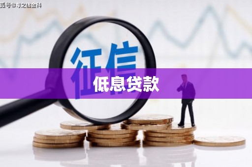 新林低息贷款