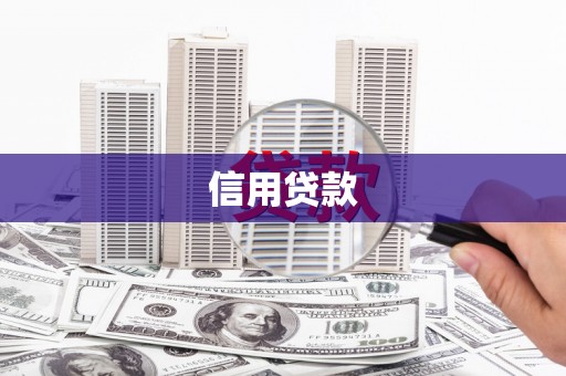 光明新区信用贷款