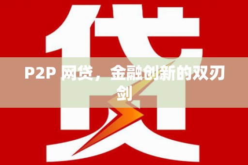 南开P2P 网贷，金融创新的双刃剑