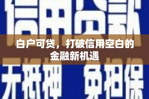 全南白户可贷，打破信用空白的金融新机遇