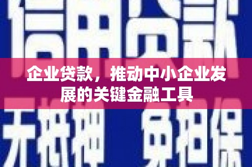 尼玛企业贷款，推动中小企业发展的关键金融工具