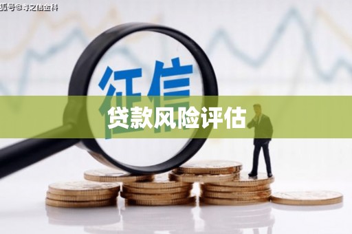 濠江贷款风险评估