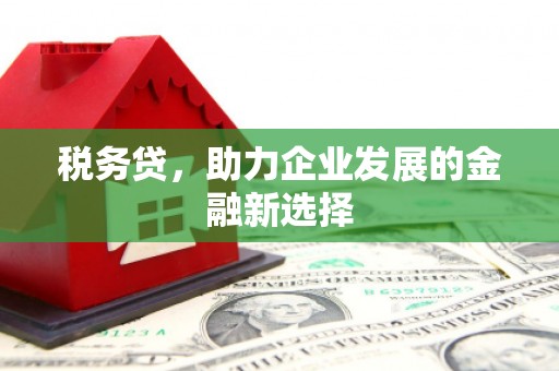 阿勒泰税务贷，助力企业发展的金融新选择