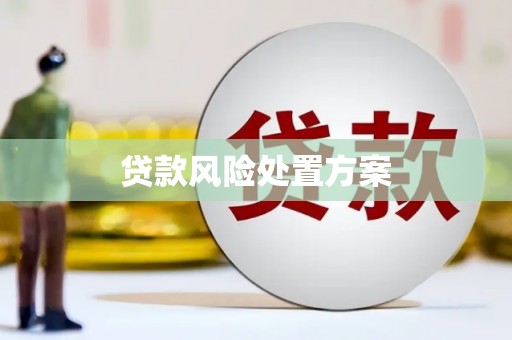 雁塔贷款风险处置方案