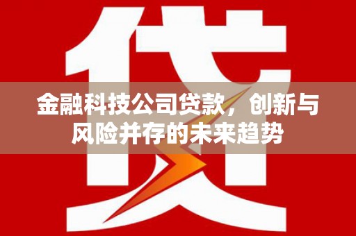 玉山金融科技公司贷款，创新与风险并存的未来趋势