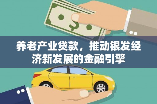 舞阳养老产业贷款，推动银发经济新发展的金融引擎