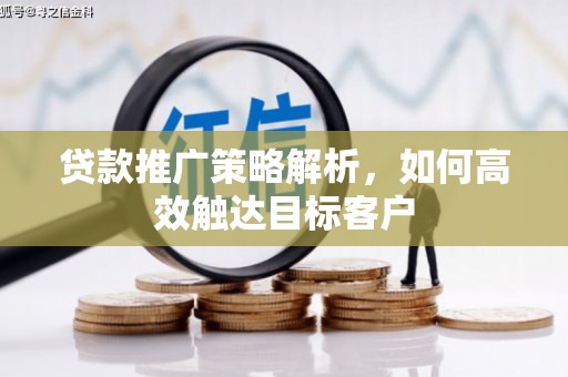 凤县贷款推广策略解析，如何高效触达目标客户