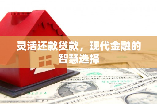 梅山灵活还款贷款，现代金融的智慧选择