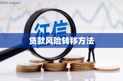 西青贷款风险转移方法