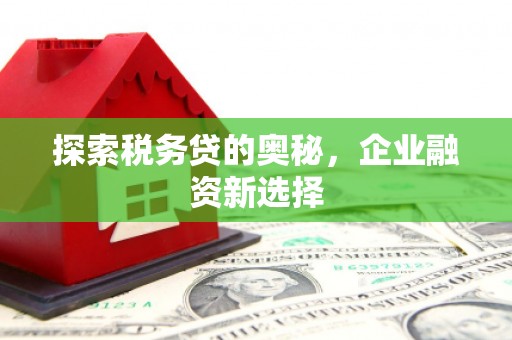 门头沟探索税务贷的奥秘，企业融资新选择