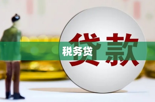 宁波税务贷