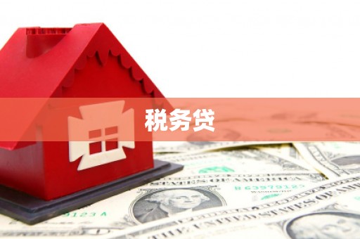 国姓税务贷