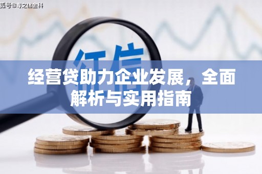 大冶经营贷助力企业发展，全面解析与实用指南