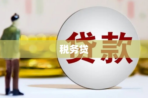 太和税务贷