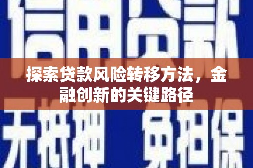 特克斯探索贷款风险转移方法，金融创新的关键路径