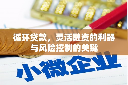 海原循环贷款，灵活融资的利器与风险控制的关键