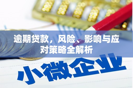 建华逾期贷款，风险、影响与应对策略全解析
