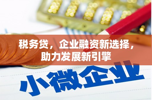 且末税务贷，企业融资新选择，助力发展新引擎