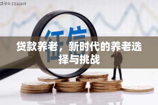 富拉尔基贷款养老，新时代的养老选择与挑战